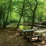 Casa Gaumaise & Casa Cool *